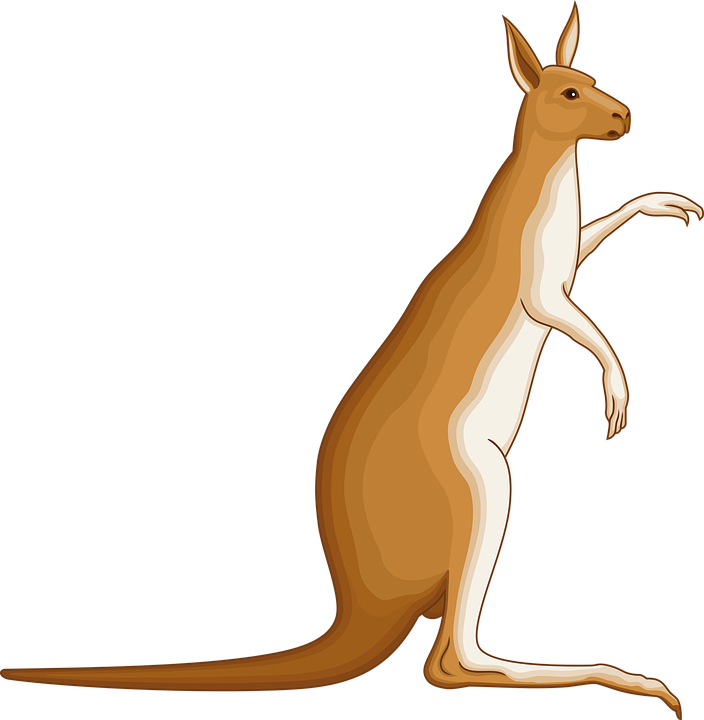 Animated Australian Animals 4, Buy Clip Art - Coat Of Arms Kangaroo (704x720)