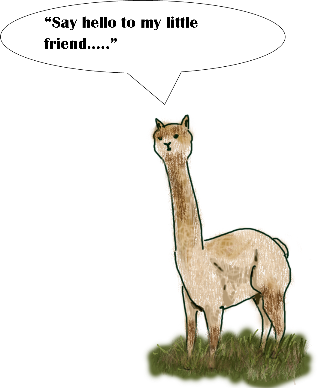 Alpacas Are Used Quite Successfully On Some Farms In - Llama (1263x1291)