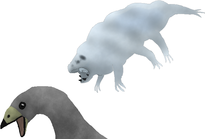 Dropwatersbears Have Long Been Recognized As Very Dangerous - Earless Seal (664x457)