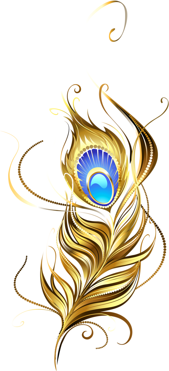 Shutterstock 162952997 [преобразованный] - Plumas De Pavo Real Png (563x1280)