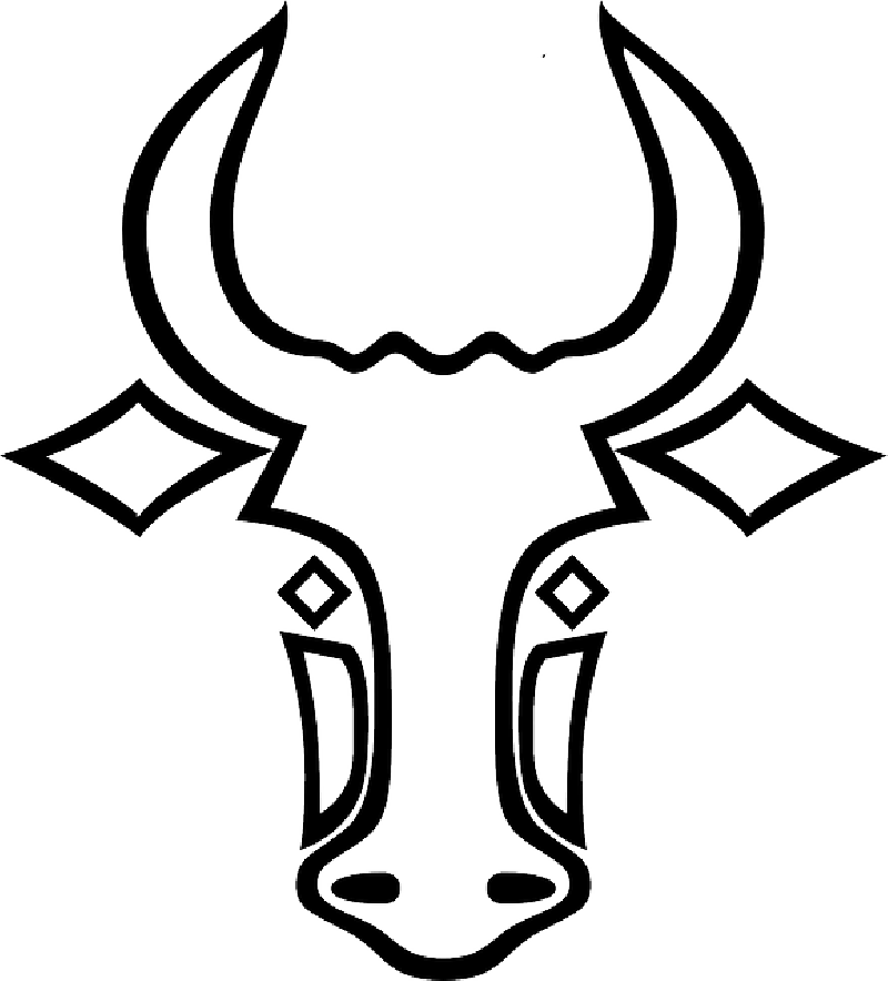 Outline, Face, White, Bull, Horn, Horns, - Outline Drawing Of Bull (800x884)