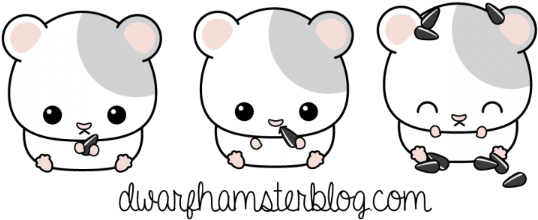 Drawn Hamster Baby Hamster - Draw A Dwarf Hamster (600x360)