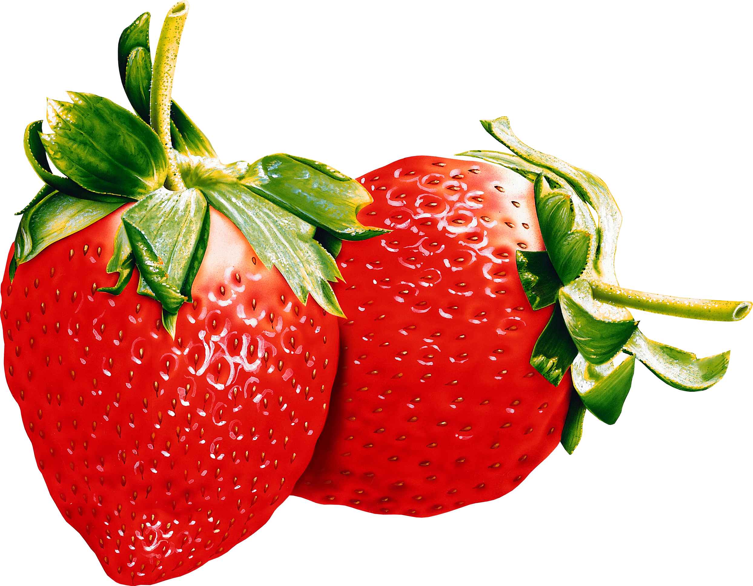 Download - Small Strawberry Png (2487x1938)