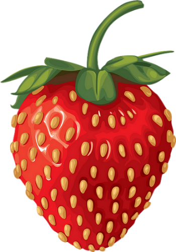 Fraise Png, Tube - Strawberry Clipart Transparent (350x500)