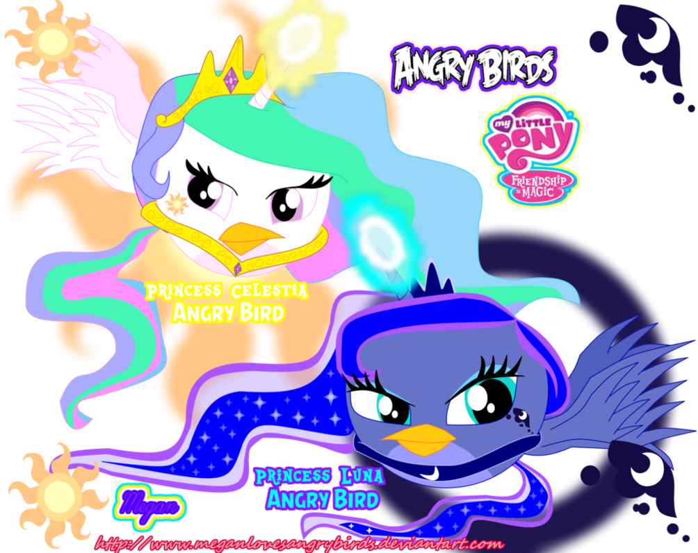 Angry Birds, Artist - My Little Pony Friendship (1004x796)