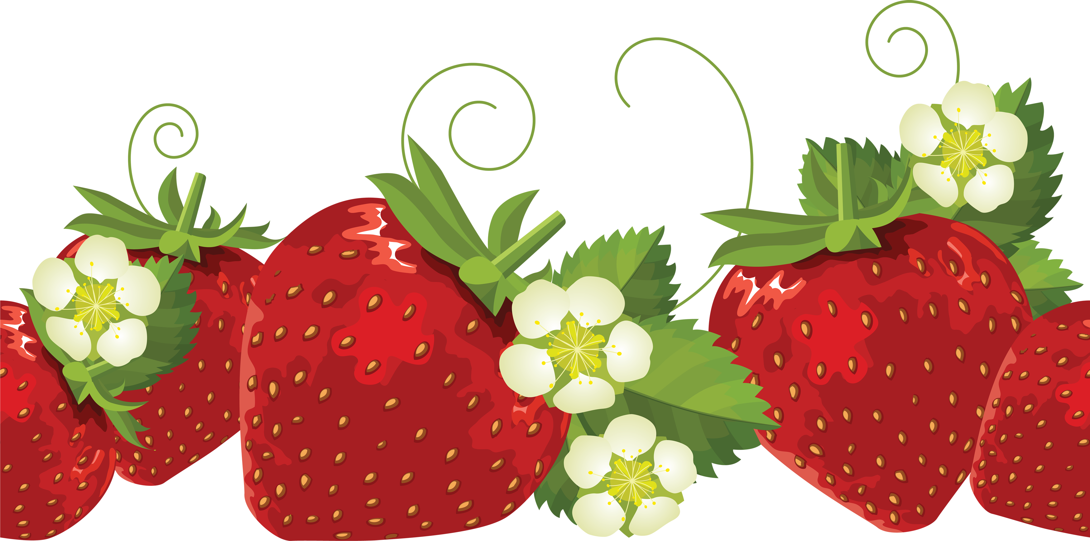 Strawberry - Strawberry Border Clip Art (3497x1735)