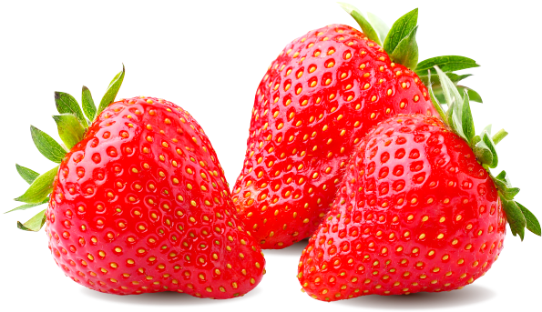 Strawberries Dipped In Chocolate - Strawberry Png (622x472)