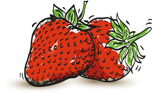 Dalhousie Strawberries - Strawberry (600x365)