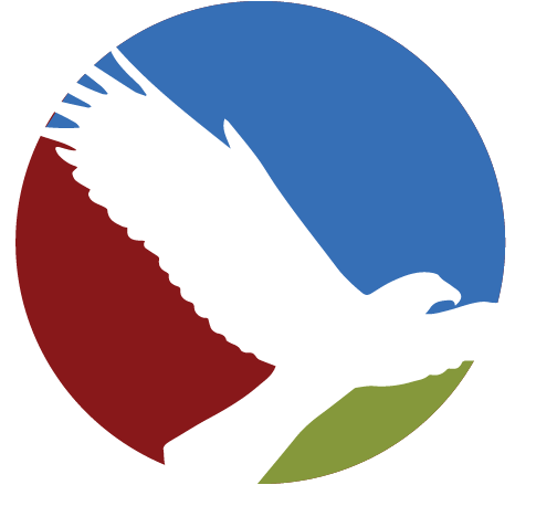 Soar Business Information - Israel Bevölkerung (512x512)