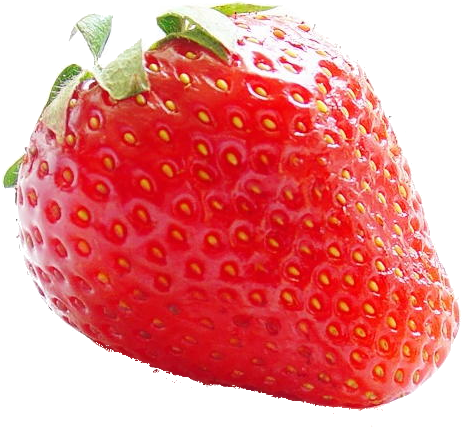 Strawberry - Strawberry Perl (529x509)