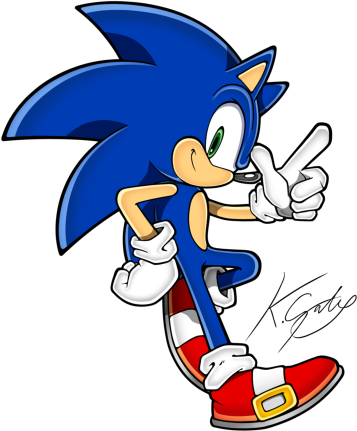 Sonic The Hedgehog - Sonic Rush Adventure Sonic (843x948)