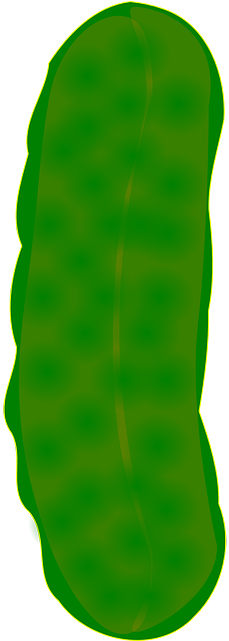 Cucumber Clipart Dill Pickle - Picles Png (320x640)