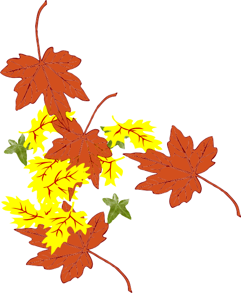 Maple Leaf (492x599)
