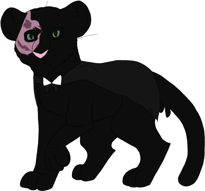 Cat Dog Horse Snout Clip Art - Cartoon (800x800)