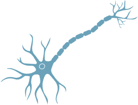 Als Is A Devastating Neurodegenerative Disease Primarily - Neuron Png (473x362)