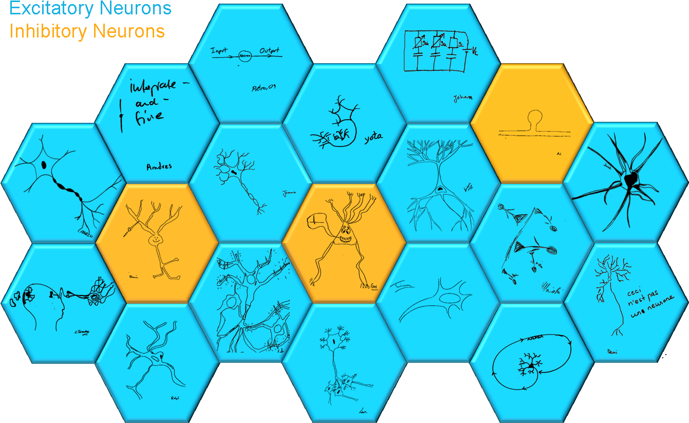 Computational Neuroscience Group - Diagram (1344x841)