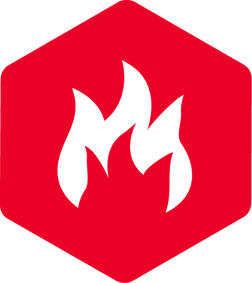 Ball Security Fire Watch Service Icon - Mega Sync (509x573)