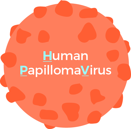 What Is Hpv - Circle (521x516)