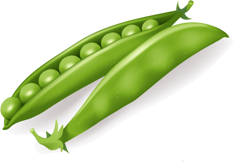 Free Png Pea Png Images Transparent - Peas Clipart Png (850x586)