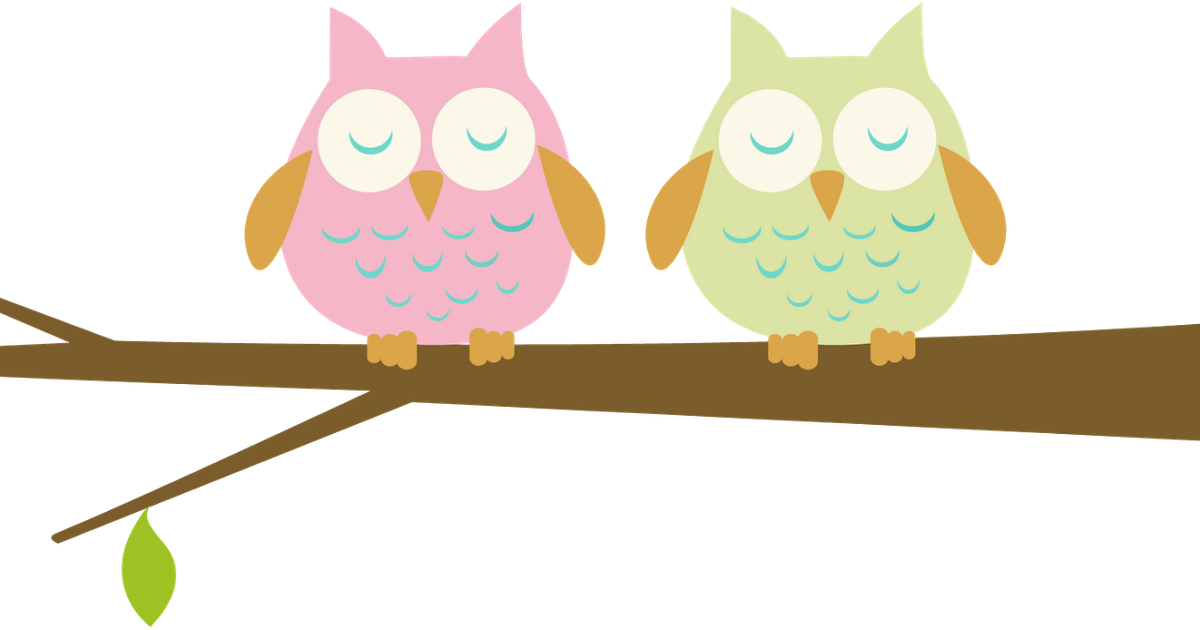 Baby Owls Owl Babies Clip Art - Owl On A Branch Clipart (1200x630)