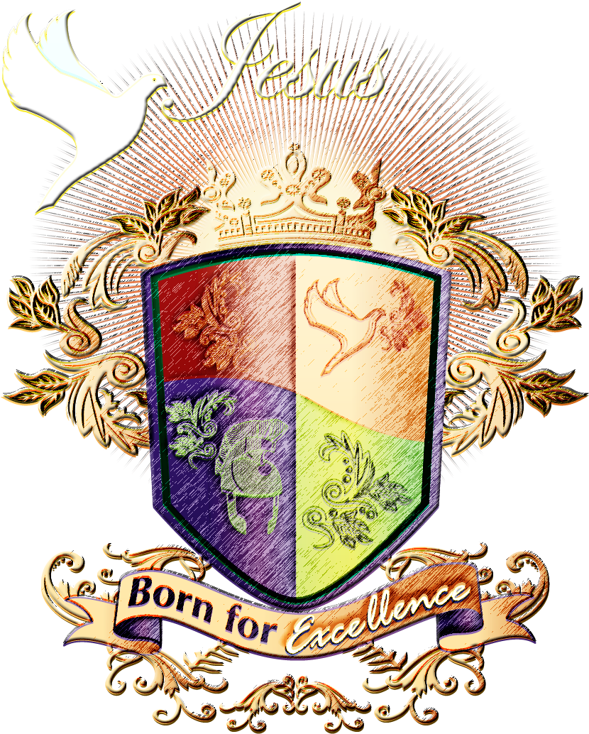 Bornfx Vision - Crest (1050x1054)
