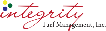 Commercials - River Wisdom Is Knowing The Right Path Wall Vinyl (black) (500x274)