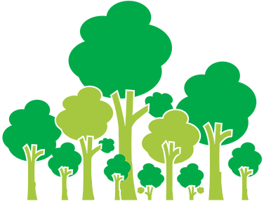 A Forest Track Used For Harvesting Trees In A Beech - Forestry (435x285)