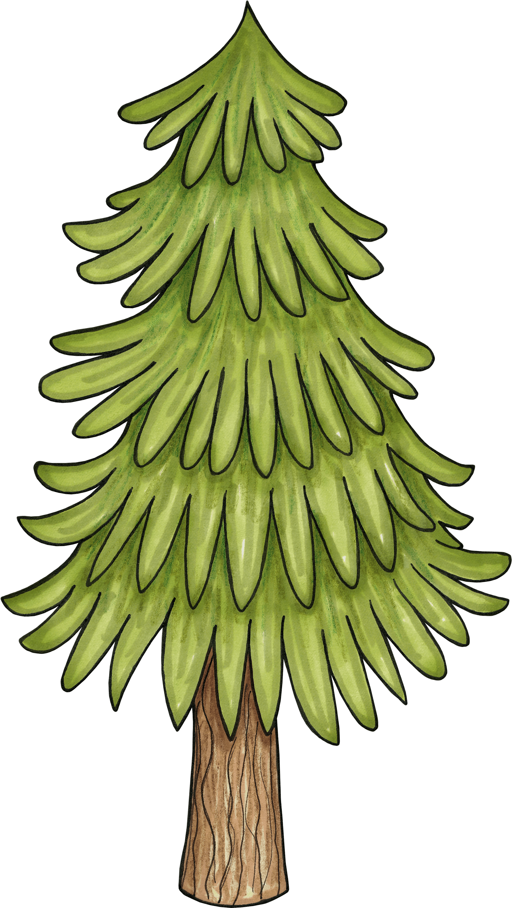 Enchanted Forest Free Clipart - Forest Tree Clipart (1808x3209)