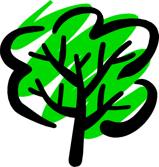 Vector Illustration Of Deciduous Forest Tree In Summer - Short Story (666x700)