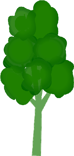 Subway - Tall Tree Clipart (250x500)