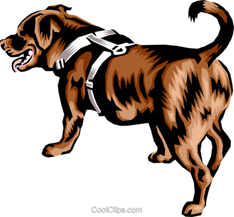 Newfoundland Dog Royalty Free Vector Clip Art Illustration - Newfoundlands Dog Vector Png Clipart (480x444)