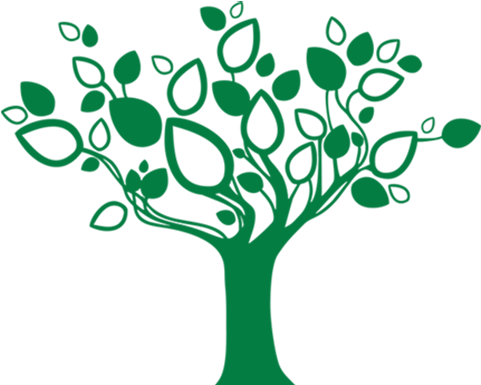 Foresta's Timber Is Purchased From Fsc Certified Suppliers - Foresta's Timber Is Purchased From Fsc Certified Suppliers (480x564)