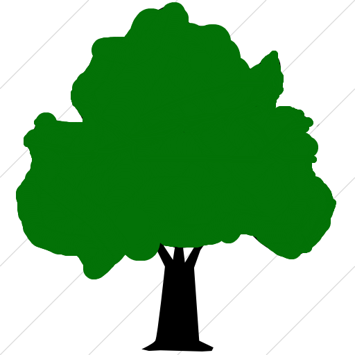 Forest - Tree Clip Art (512x512)