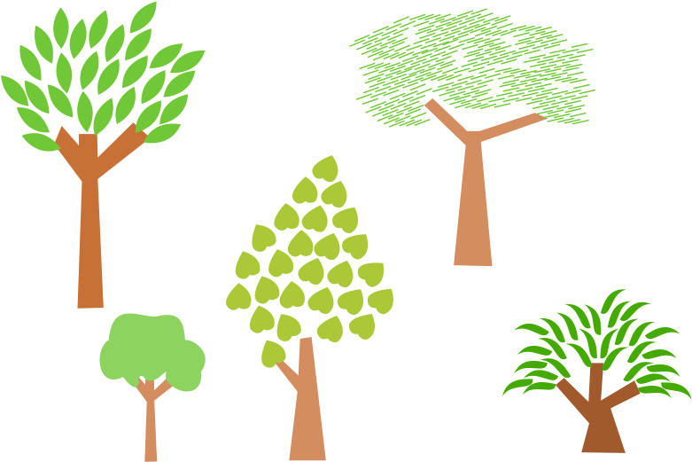 Photos Clipart Small Tree - Trees Clip Art (800x566)