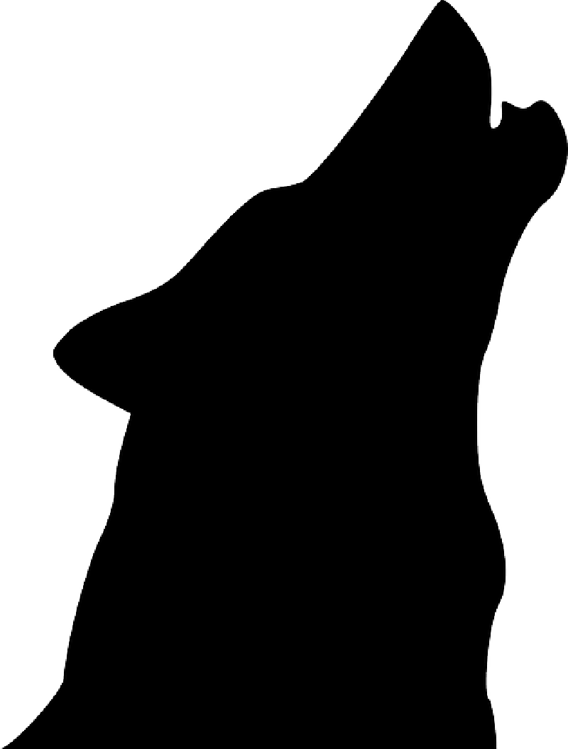 Husky Clipart Head Silhouette - Howling Wolf Head Silhouette (800x1055)