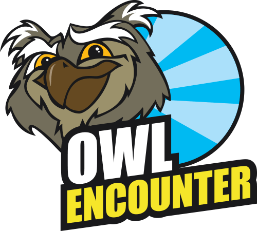 If You'd Like An Extra Special Experience With Owls - If You'd Like An Extra Special Experience With Owls (500x450)