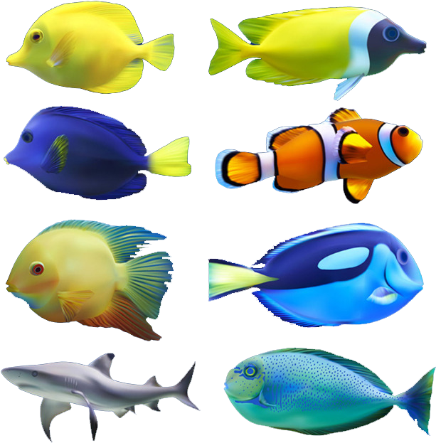 Euclidean Vector Fish Computer File - L002 Removable Bathroom Shower Door Glass Sticker (650x650)