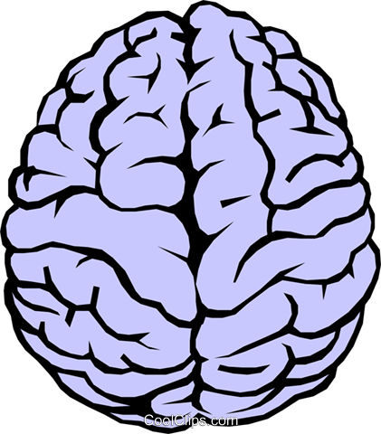 Human Brain Clipart - Simple Drawing Of A Brain (421x480)