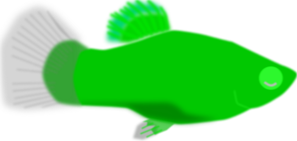 Aquarium Fish Vector Clip Art - Red Fish Clip Art (600x286)