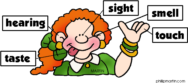 Nursing And The Senses - 5 Senses Clipart (640x298)