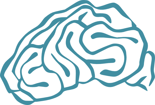 Brain Clipart - Brain Clip Art (600x407)