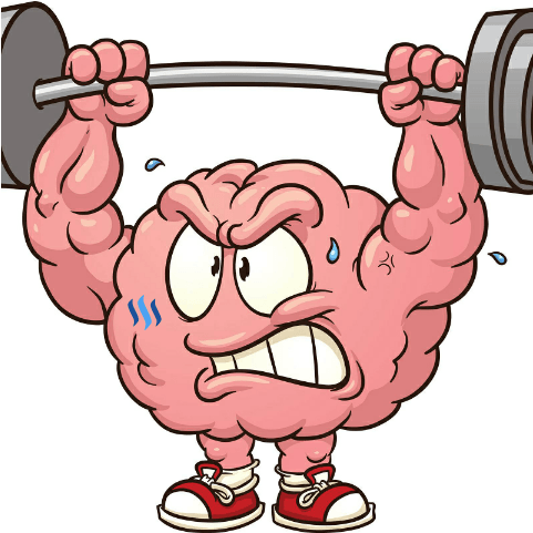 Brain Illustrations And Clip Art - Brain Working Out (800x480)