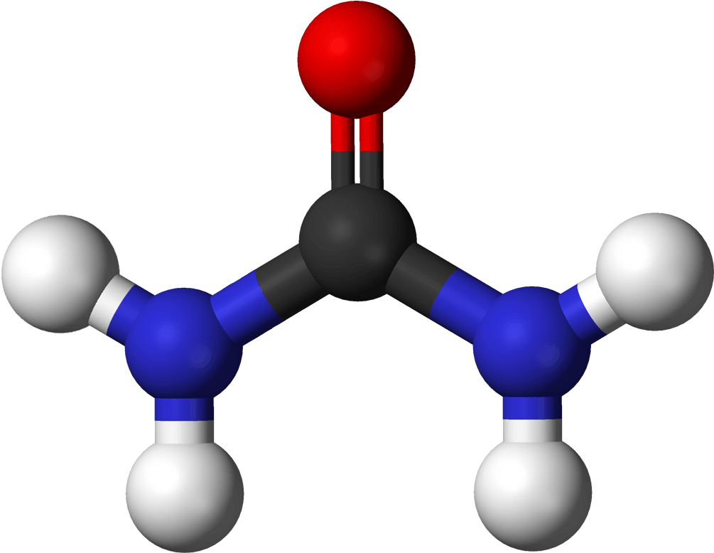 Marijuana's Effects On Circulatory System - Urea 3d Structure (1100x875)