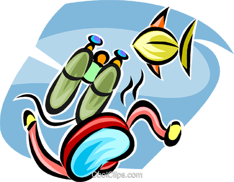 Scuba Gear And Fish Royalty Free Vector Clip Art Illustration - Illustration (480x374)