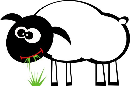 Sheep Eat Grass Graze Grazing Lamb Sheep S - Grazing Clipart (512x340)