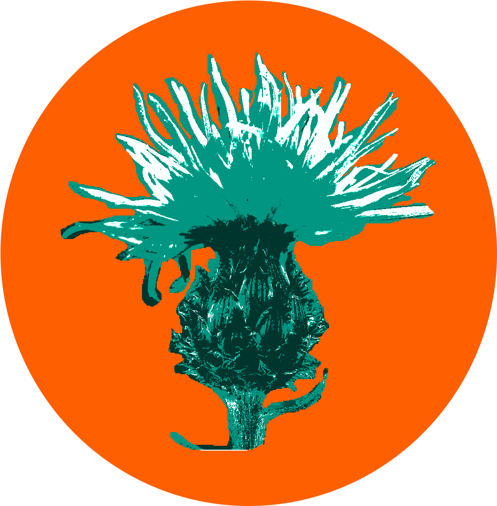When Attempting To Eradicate Noxious Weeds, Best Efforts - New York Times App Icon (1044x1044)
