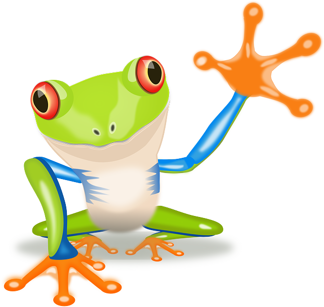 Kikker - Red Eyed Tree Frog Clip Art (640x607)