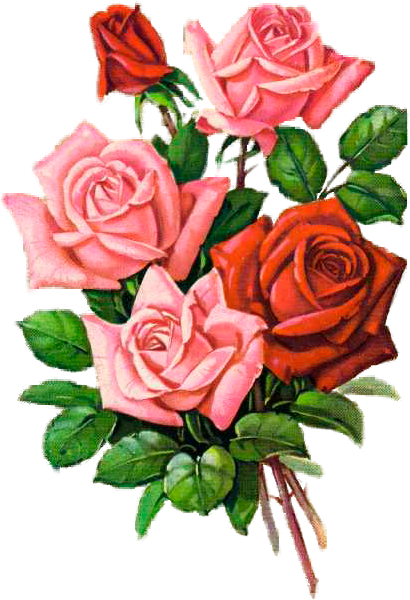 Shabby Chic Flowersvintage - Garden Roses (410x600)