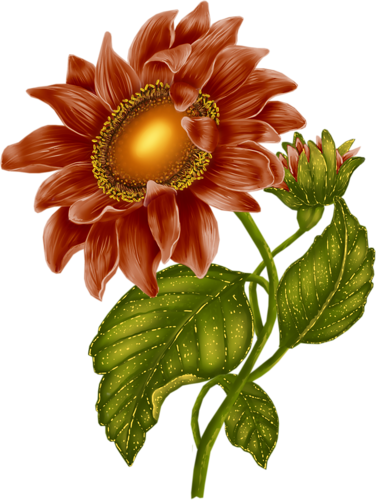 129112919 0 134800 A503b59b L - Clip Art (376x500)