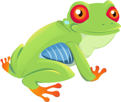 Frog - Red-eyed Tree Frog (600x600)